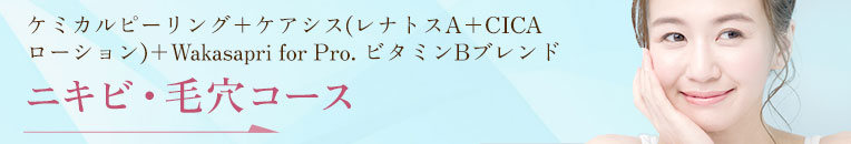 ニキビ・毛穴コース