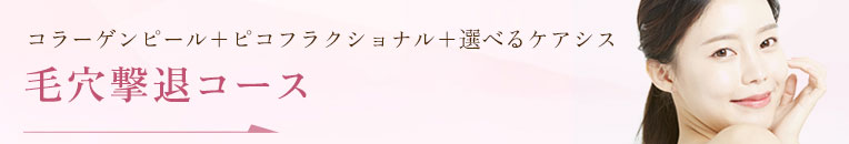 毛穴撃退コース