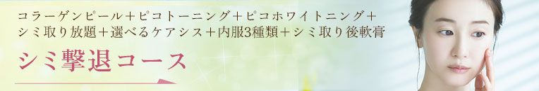 シミ撃退コース